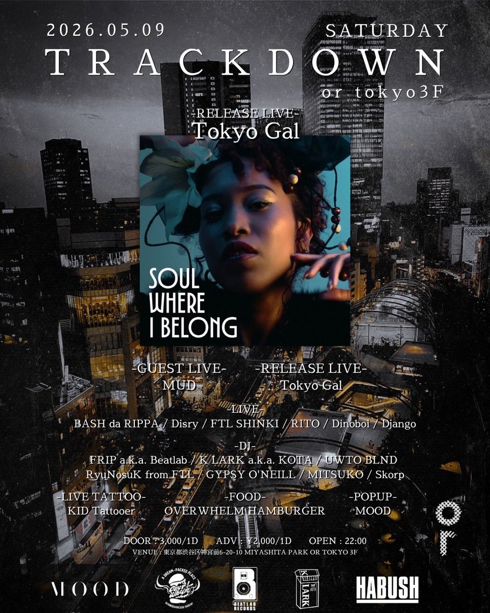 TRACK DOWN flyer