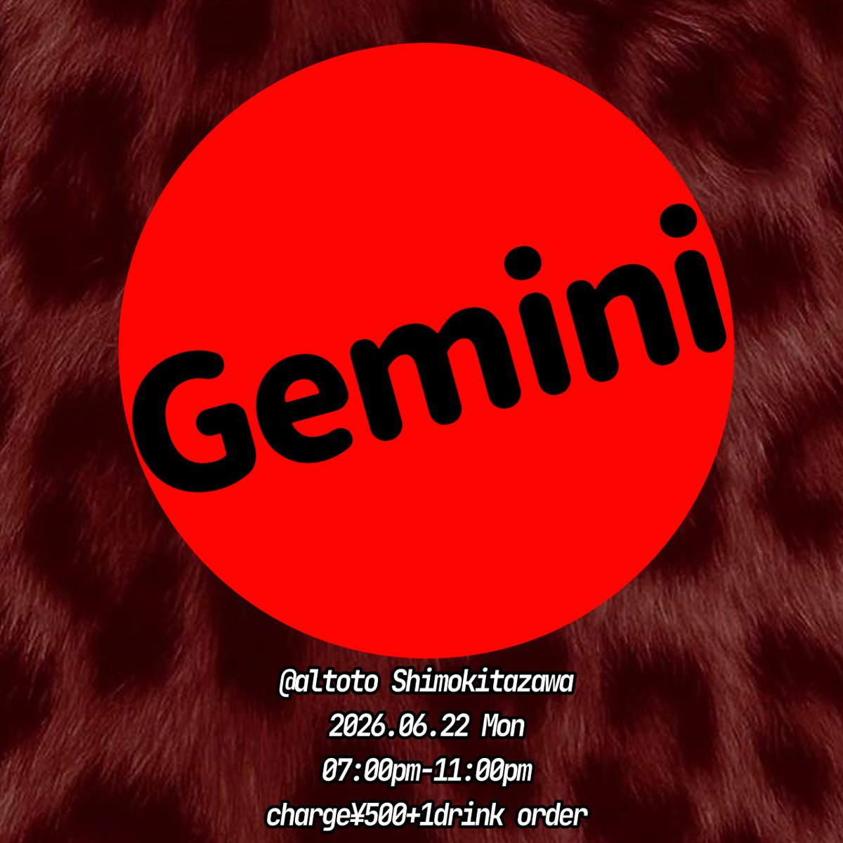 Jemini flyer