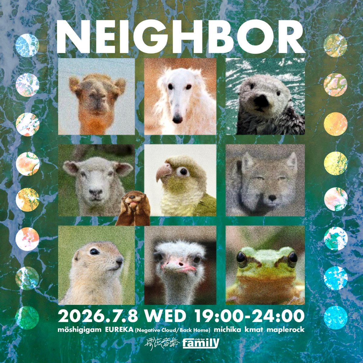 NEIGHBOR flyer