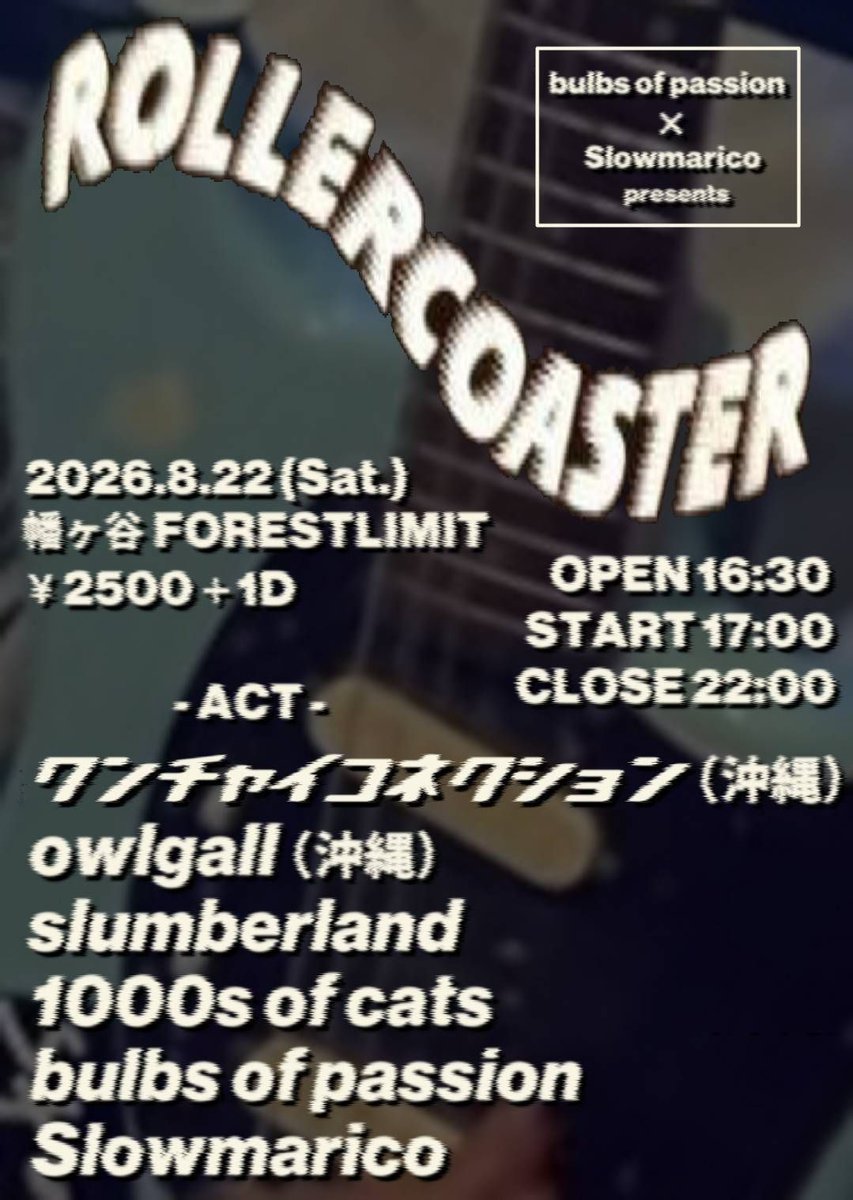 ROLLERCOASTER flyer