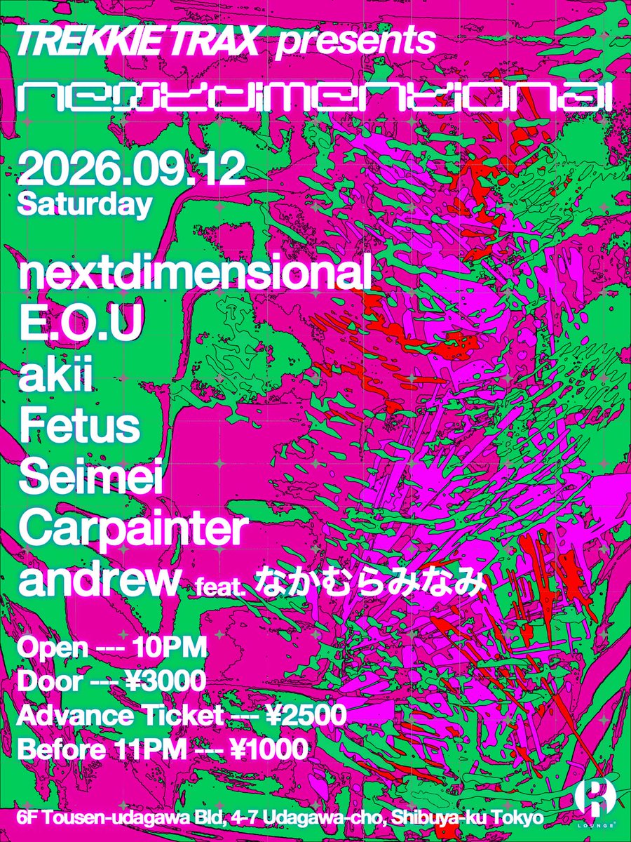 nextdimensional flyer
