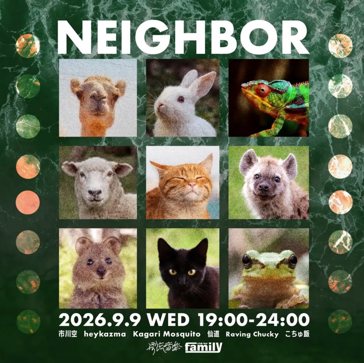 NEIGHBOR flyer