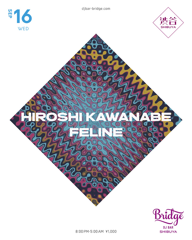 HIROSHI KAWANABE × FELINE flyer
