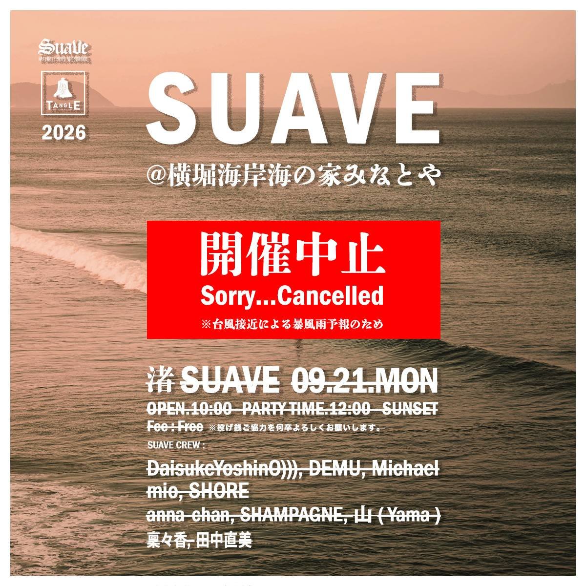SUAVE flyer
