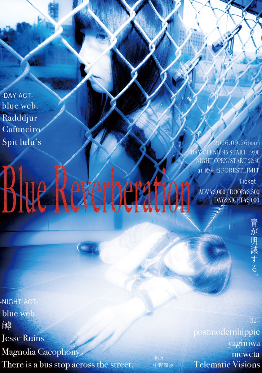 Blue Reverberation flyer